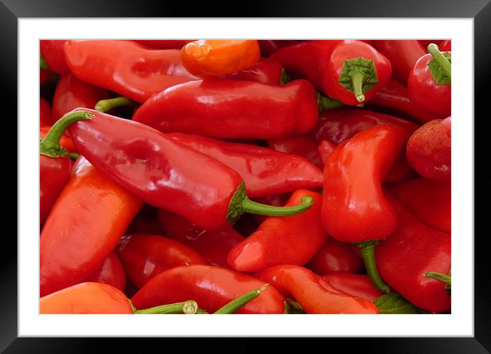 Red Peppers Framed Mounted Print by Noreen Linale