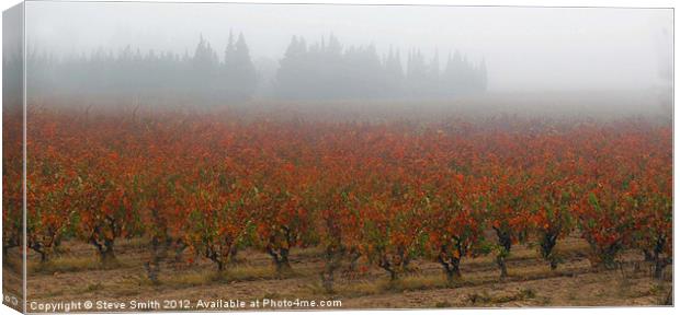 Vines in Provance late Autumn Canvas Print by Steve Smith