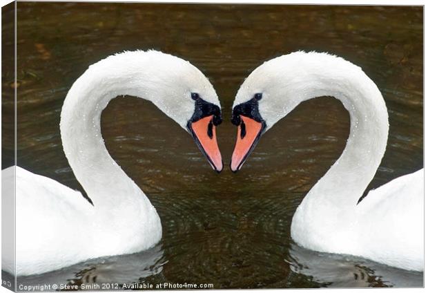 Swan Canvas Print by Steve Smith