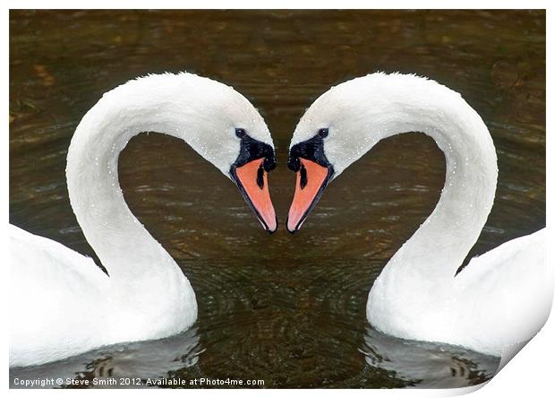 Swan Print by Steve Smith