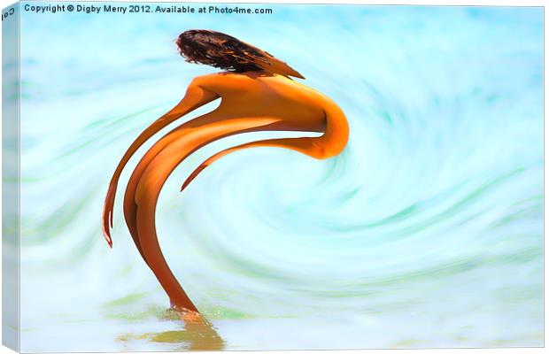 Stepping into the Sea Canvas Print by Digby Merry