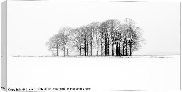 Trees in a frozen Cotswold field Canvas Print by Steve Smith