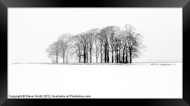 Trees in a frozen Cotswold field Framed Print by Steve Smith