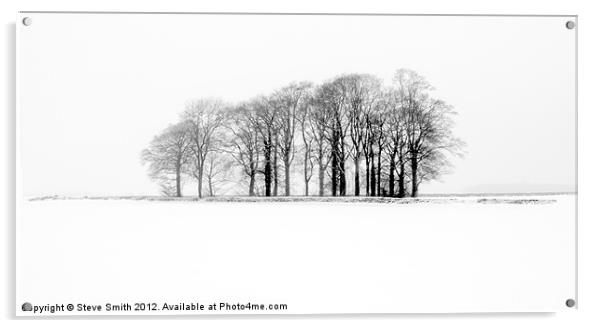 Trees in a frozen Cotswold field Acrylic by Steve Smith