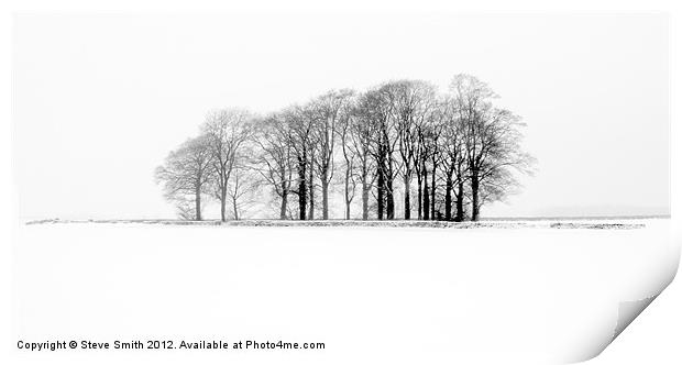 Trees in a frozen Cotswold field Print by Steve Smith