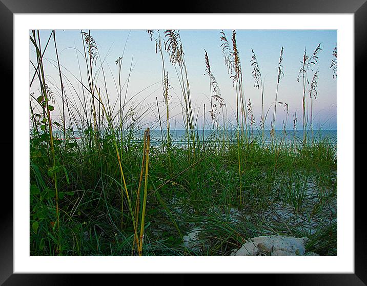 Seagrass and Sand Dunes Framed Mounted Print by Susan Medeiros