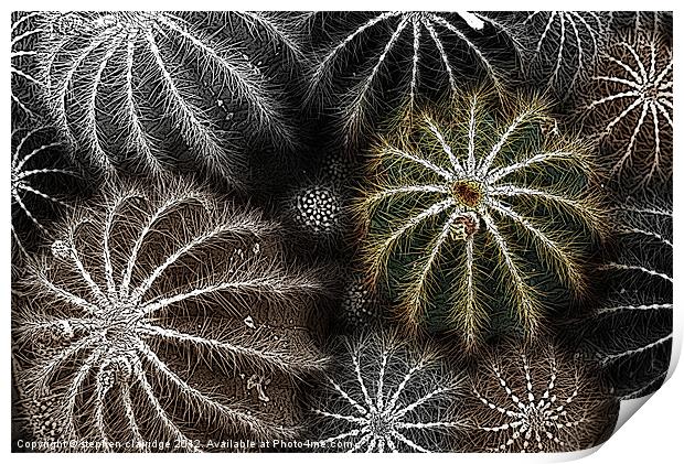 Cactus plant abstract Print by stephen clarridge