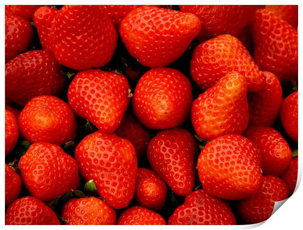 Strawberries Print by Noreen Linale