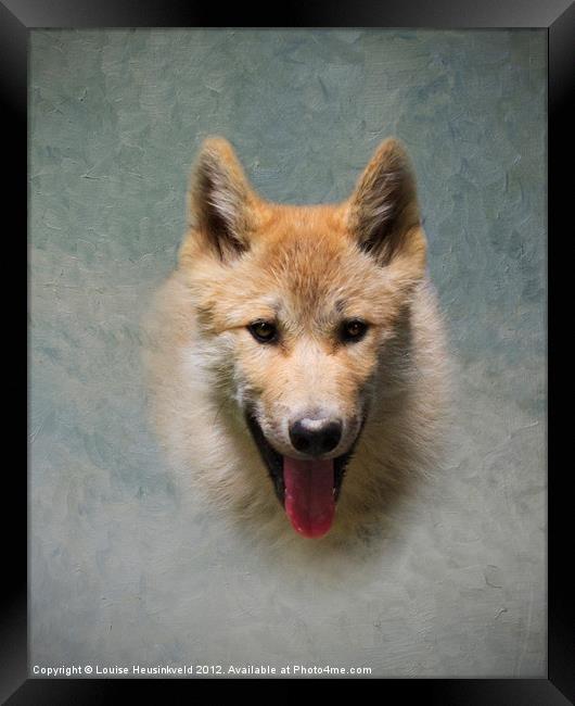 Wolf pup Framed Print by Louise Heusinkveld