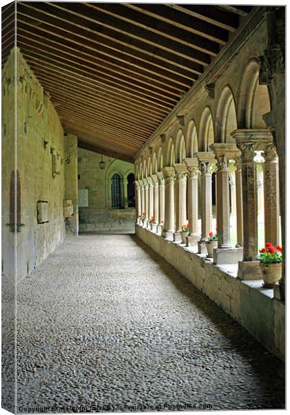 South Gallery Saint-Papoul Abbey. Canvas Print by malcolm fish