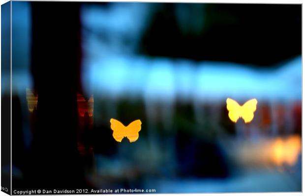 Butterfly bokeh at night Canvas Print by Dan Davidson