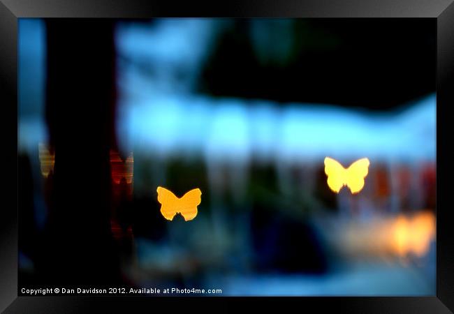 Butterfly bokeh at night Framed Print by Dan Davidson