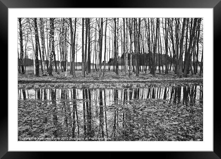 Row of trees in autumn Framed Mounted Print by Kathleen Smith (kbhsphoto)
