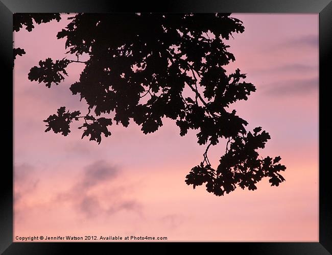 Oak Sunset Framed Print by Jennifer Henderson