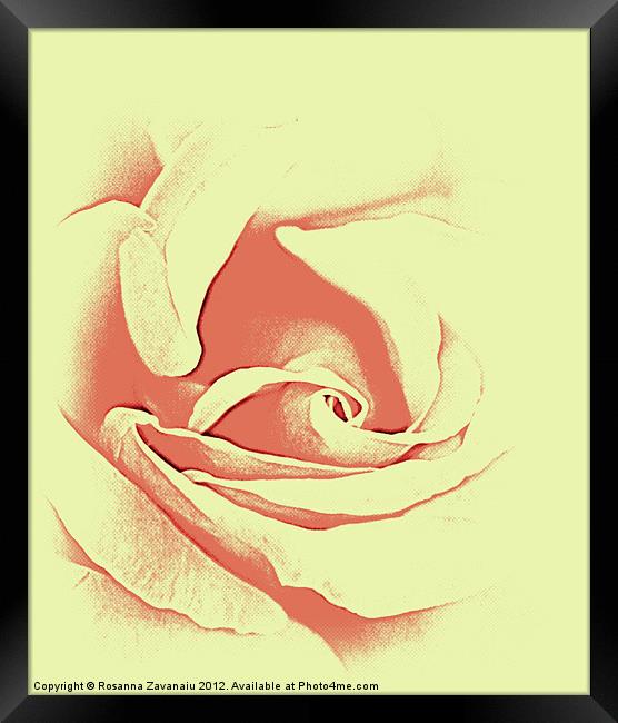 Rose sillouette Framed Print by Rosanna Zavanaiu