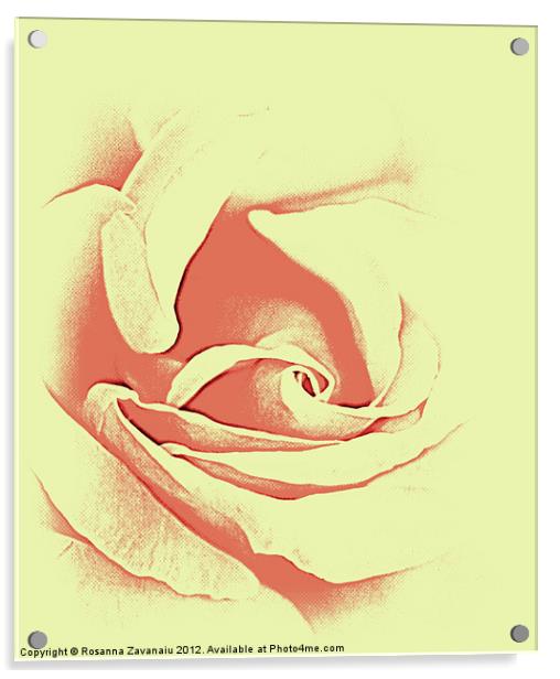 Rose sillouette Acrylic by Rosanna Zavanaiu
