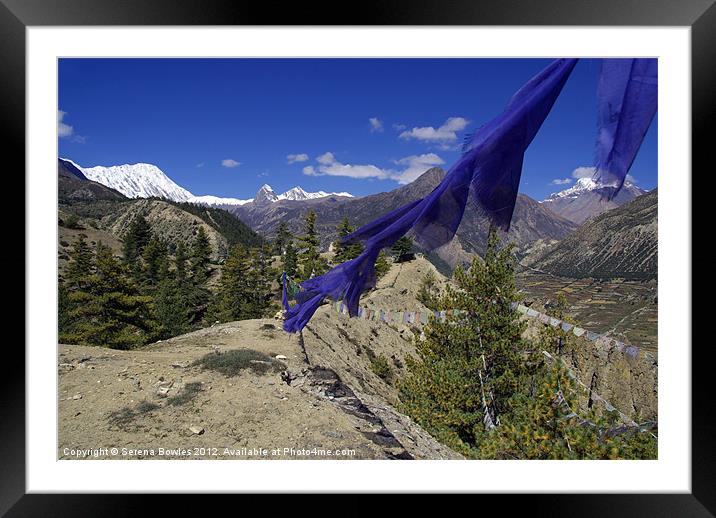 Blue Prayer Flags and Pine Trees Manang Framed Mounted Print by Serena Bowles