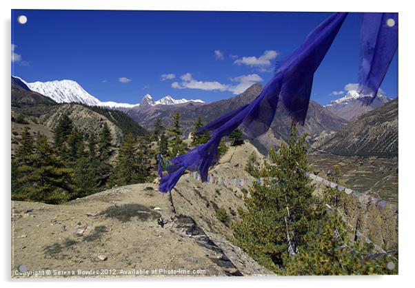 Blue Prayer Flags and Pine Trees Manang Acrylic by Serena Bowles