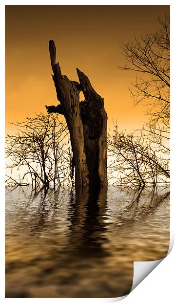 Tree Lake Print by Andrew Bailey