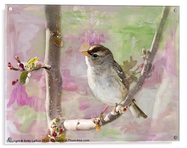 House Sparrow in Spring Acrylic by Betty LaRue