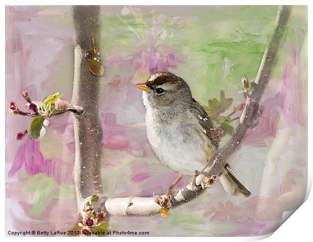 House Sparrow in Spring Print by Betty LaRue