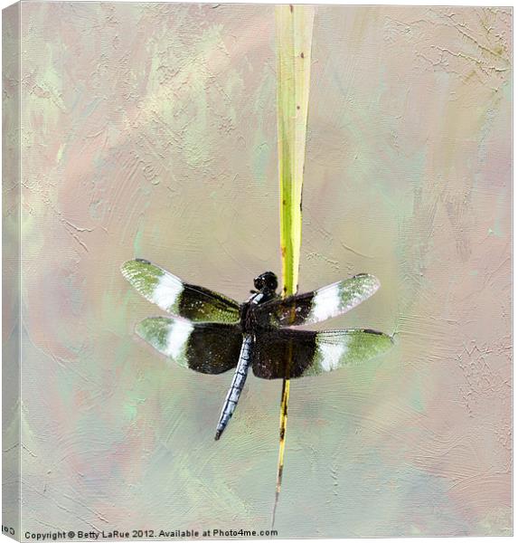 Dragonfly Canvas Print by Betty LaRue