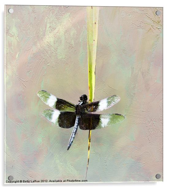 Dragonfly Acrylic by Betty LaRue