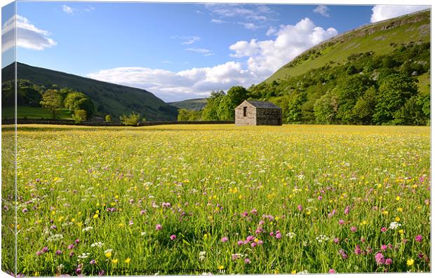 Muker Meadow Canvas Print by Martin Appleby
