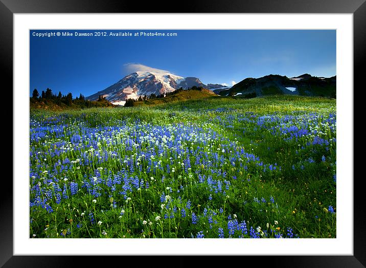 Fields of Paradise Framed Mounted Print by Mike Dawson