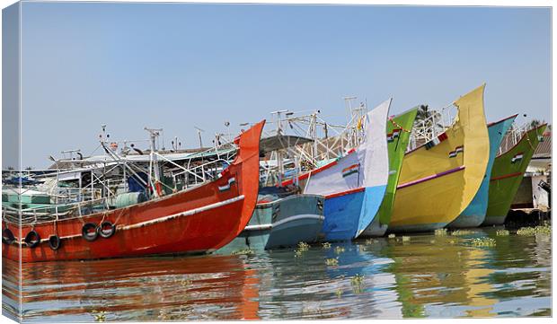 Colorful Indian fishing boats Canvas Print by Arfabita  