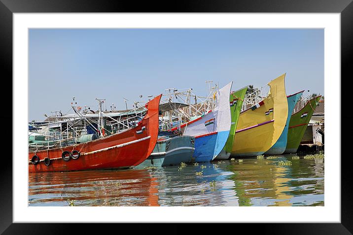 Colorful Indian fishing boats Framed Mounted Print by Arfabita  