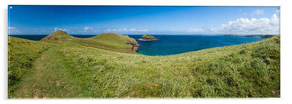 Port Quin Bay Panorama Acrylic by Jonathan Swetnam