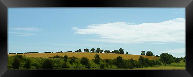 Dry brushed Devon Framed Print by Sharon Lisa Clarke