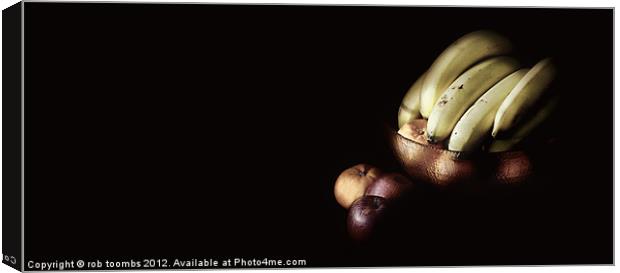 FRUITY SHADOWS Canvas Print by Rob Toombs