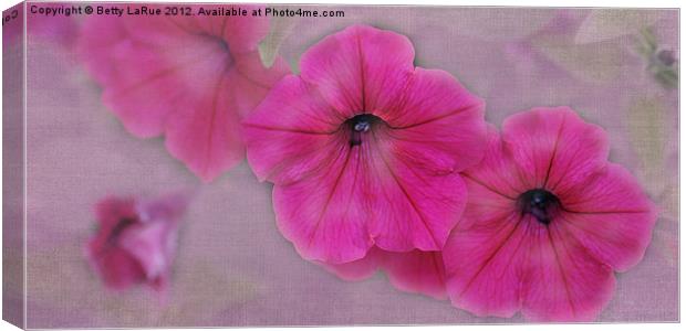 Pink Petunias Canvas Print by Betty LaRue
