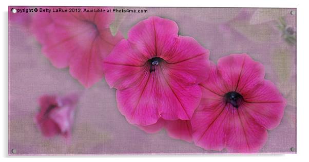 Pink Petunias Acrylic by Betty LaRue
