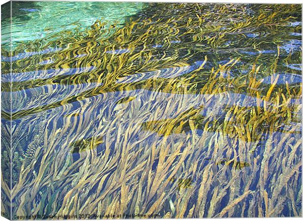 Wetland Auquifer Canvas Print by Susan Medeiros