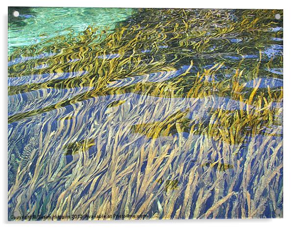 Wetland Auquifer Acrylic by Susan Medeiros