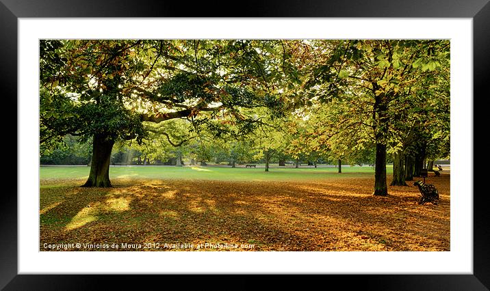 Autumn Morning in the park Framed Mounted Print by Vinicios de Moura