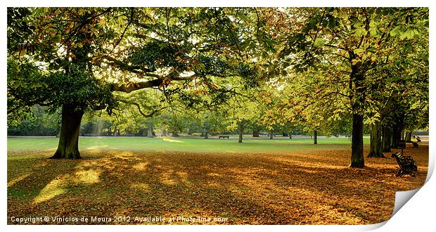 Autumn Morning in the park Print by Vinicios de Moura