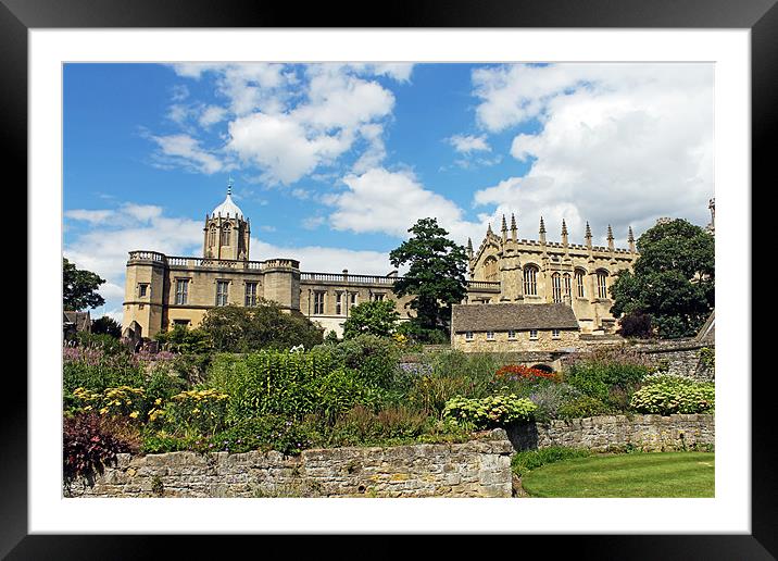Christ Church Cathedral Oxford Framed Mounted Print by Tony Murtagh