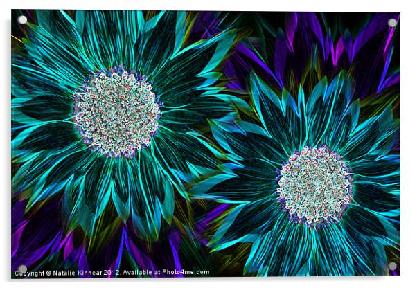Neon Glow Flowers Acrylic by Natalie Kinnear