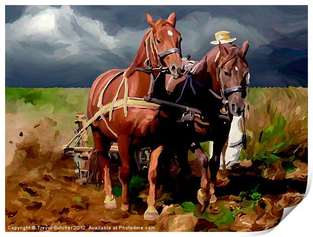 Plough Horses Print by Trevor Butcher
