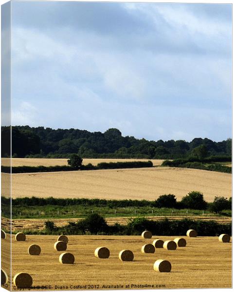 Hay bales in Bedfordshire Canvas Print by DEE- Diana Cosford