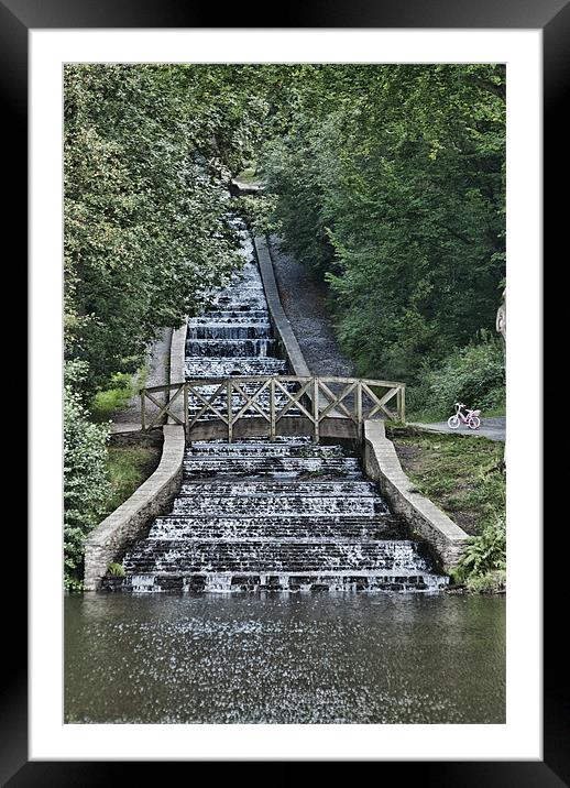 Gnoll Estate Country Park Framed Mounted Print by Steve Purnell