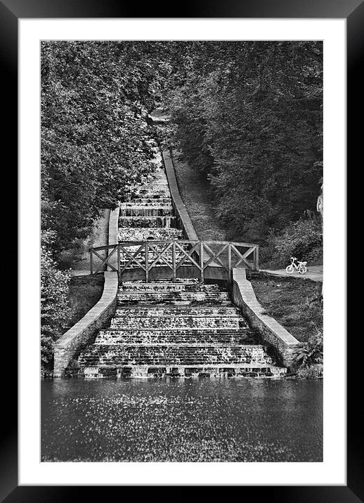 Gnoll Estate Country Park Mono Framed Mounted Print by Steve Purnell