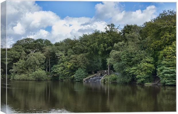 Gnoll Estate Country Park 2 Canvas Print by Steve Purnell