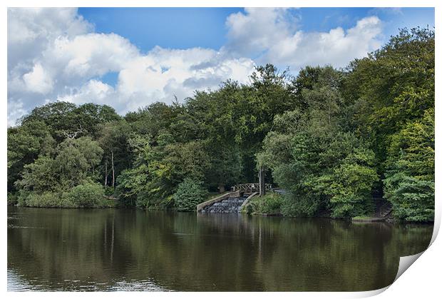 Gnoll Estate Country Park 2 Print by Steve Purnell