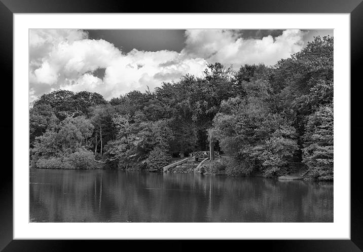 Gnoll Estate Country Park 2 Mono Framed Mounted Print by Steve Purnell