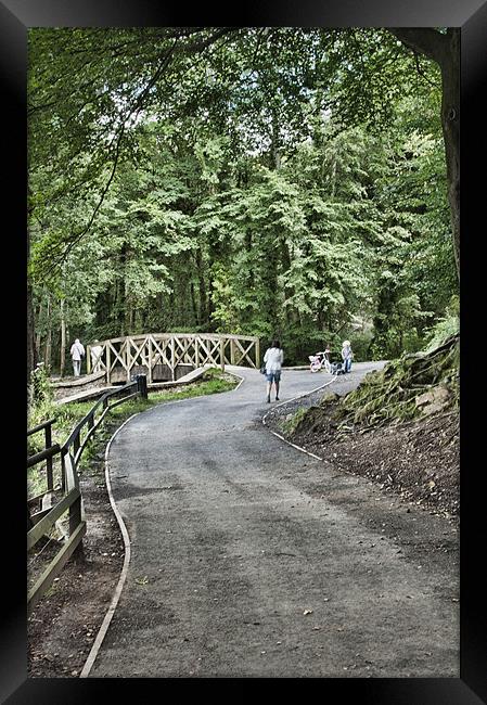 Gnoll Estate Country Park 3 Framed Print by Steve Purnell